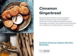 Wkład zapachowy AirQ Big - "Cinnamon Gingerbread"