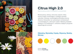 Wkład zapachowy AirQ Big - "Citrus High 2.0"