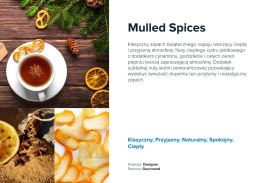 Wkład zapachowy AirQ Big - "Mulled Spices"