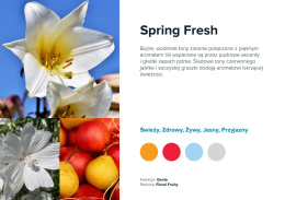 Wkład zapachowy AirQ Big - "Spring Fresh"