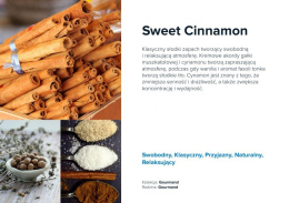 Wkład zapachowy AirQ Small - "Sweet Cinnamon"