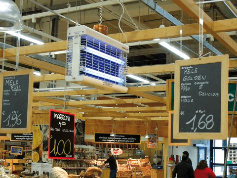 Lampa Chameleon 2x2 Stal nierdzewna (4x15W) Lampa Chameleon 2x2 Stal nierdzewna (4x15W)