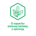 Smart CleanAir Auto do czyszczenia klimatyzacji samochodowych o zapachu "Opuncji i zielonej herbaty" Smart CleanAir Auto do czyszczenia klimatyzacji samochodowych o zapachu "Opuncji i zielonej herbaty"
